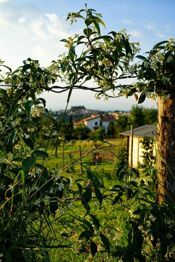 Agriturismo Villa Adimari Cerreto Guidi Bagian luar foto