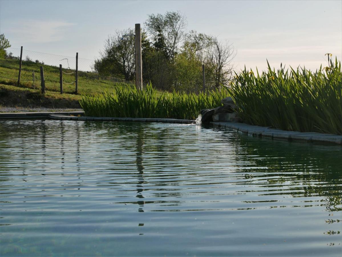 Agriturismo Villa Adimari Cerreto Guidi Bagian luar foto