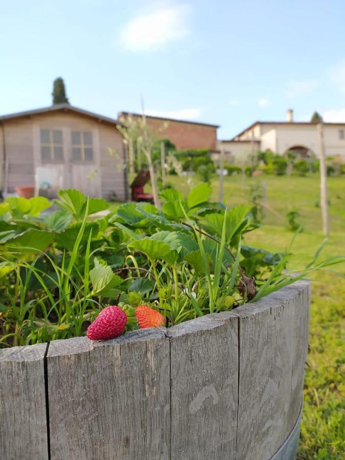 Agriturismo Villa Adimari Cerreto Guidi Bagian luar foto