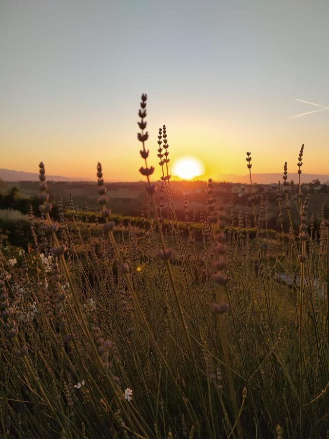 Agriturismo Villa Adimari Cerreto Guidi Bagian luar foto
